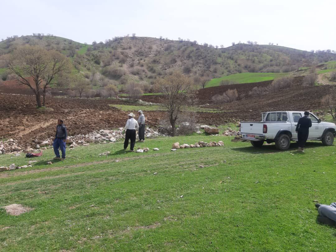 شهرستان جوانرود