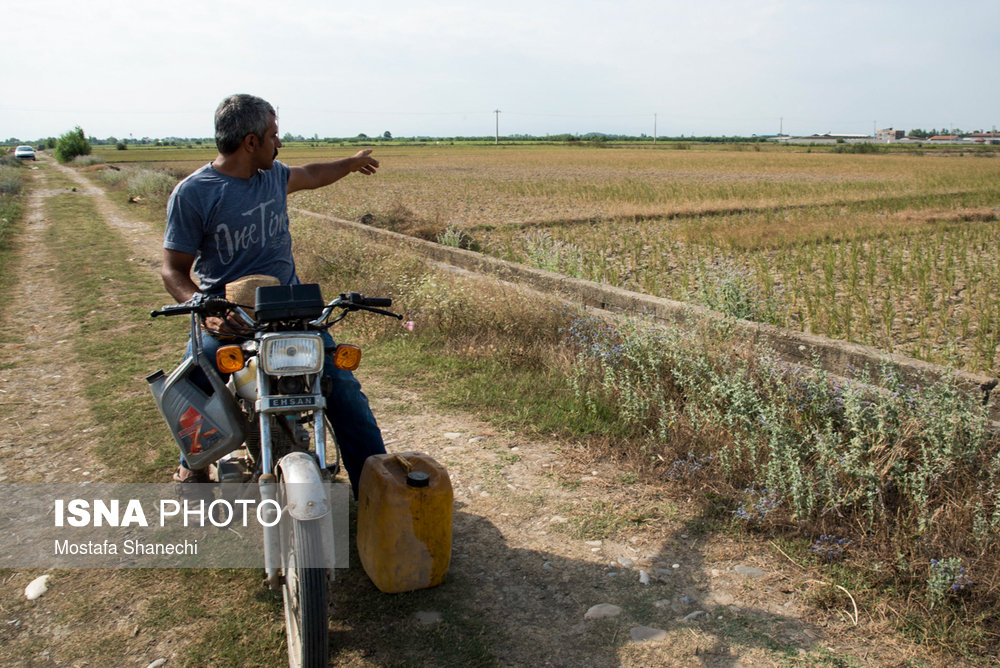 بی‌آبی در خطه شمال