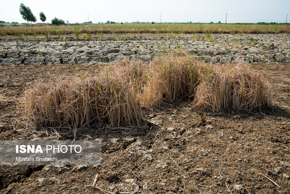 بی‌آبی در خطه شمال
