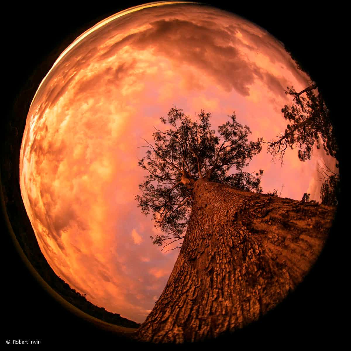 عکاسی طبیعت استرالیا