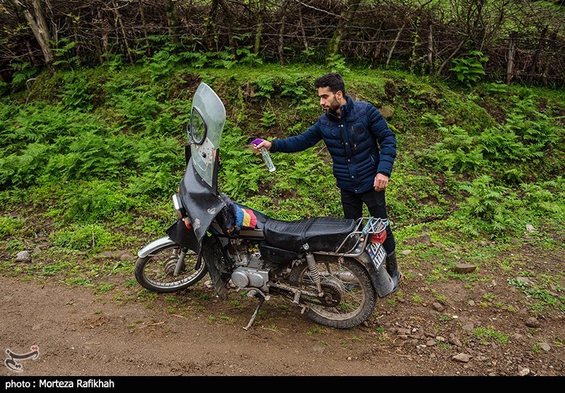 مدرسه جنگلی