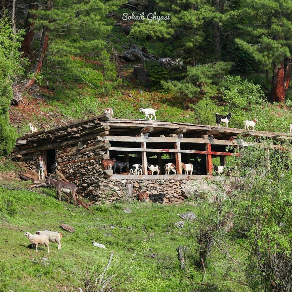 ولایت نورستان افغانستان