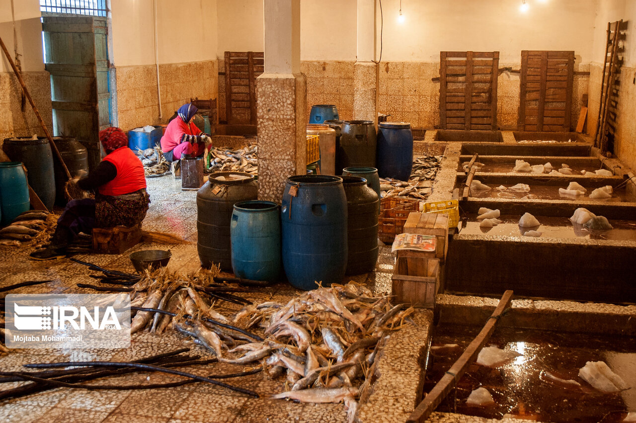 ماهی دودی رشت