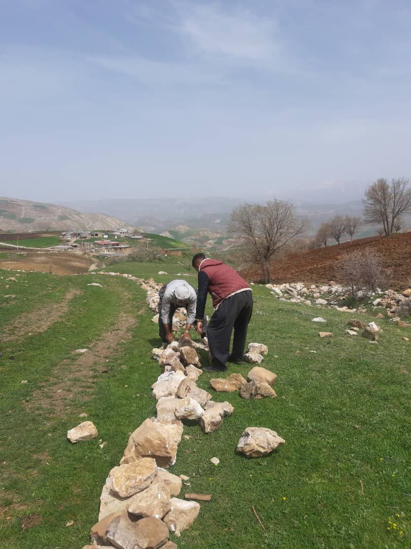 شهرستان جوانرود