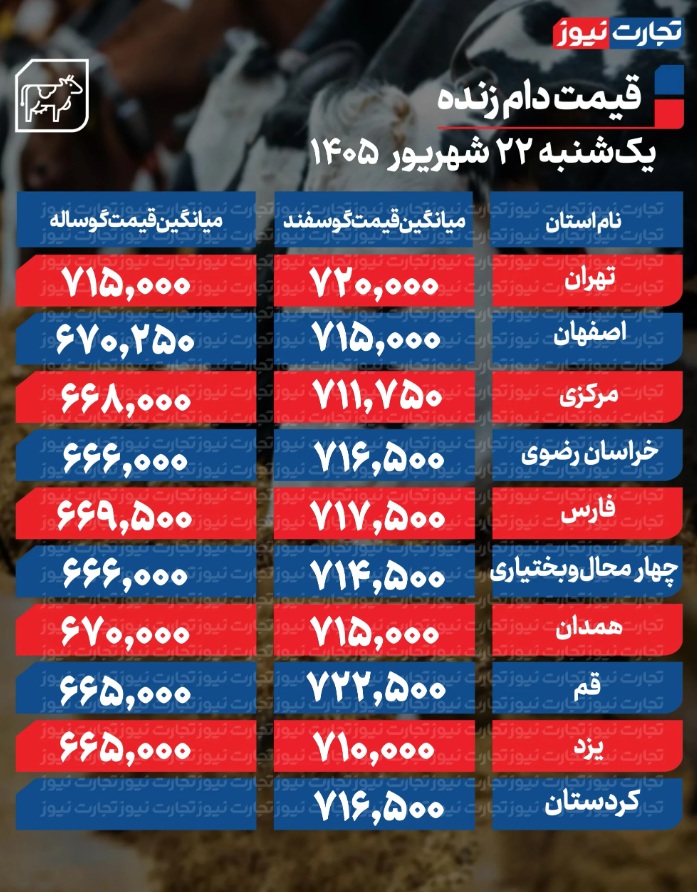 ش