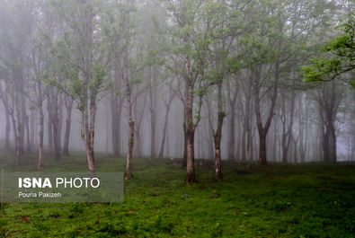 طبیعت بهاری «سیاهکل»