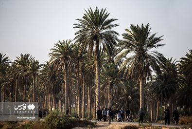 اربعین 1401 - فوتر دار