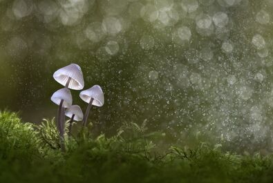 عکس سال 2023 از نمای نزدیک