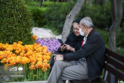 گل - باغ ایرانی