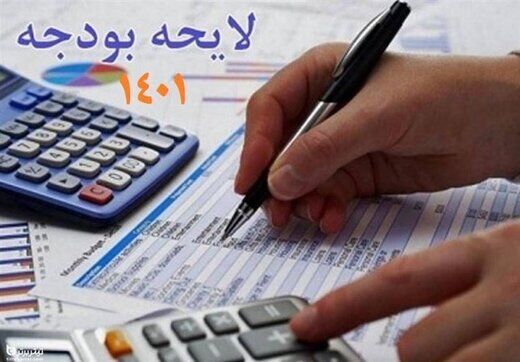 فقدان الگوی مطلوب ورود مجلس به بودجه شرکتهای دولتی