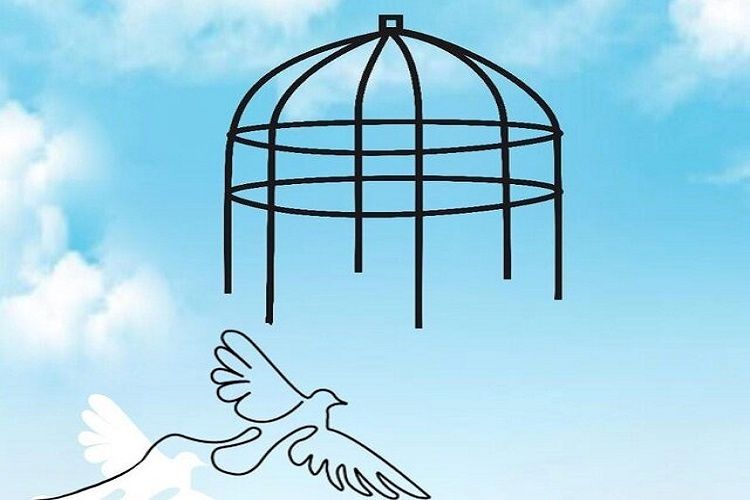 خدمتکار قاتل با شرط کاشت ۱۰۰ درخت از قصاص نجات یافت