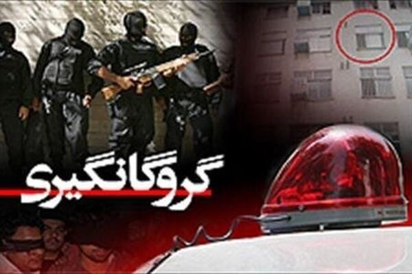 ماجرای گروگانگیری در خیابان ولیعصر تهران چه بود؟ + فیلم و عکس