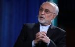 صالحی: جمهوری اسلامی ایران ادامه تمدن کهن ایران و منادی صلح و پیشرفت است