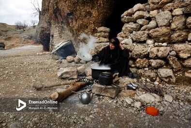 غارنشین‌ها