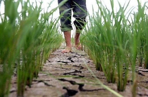 ۳ استان شمالی در آستانه خشک شدن با انتقال آب + فیلم
