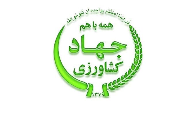 4 برنامه وزارت جهاد کشاورزی برای افزایش نفوذ فن آوری در کاهش مصرف آب