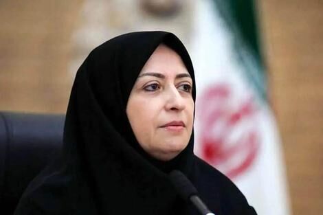 شینا انصاری به اعتماد خبر داد: سازمان محیط زیست مخالف اجرای تله‌کابین در جنگل ناهارخوران است