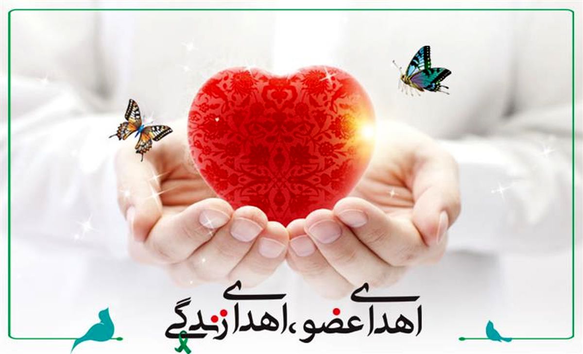 دختر ۷ ساله مرگ مغزی، نجاتبخش ۲ بیمار نیازمند عضو شد