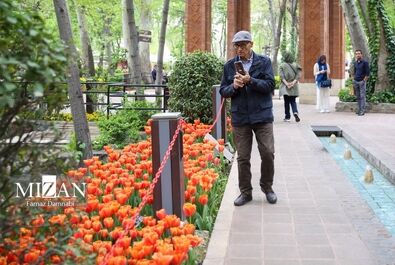 باغ ایرانی