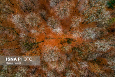 R7V7uD43BHOv