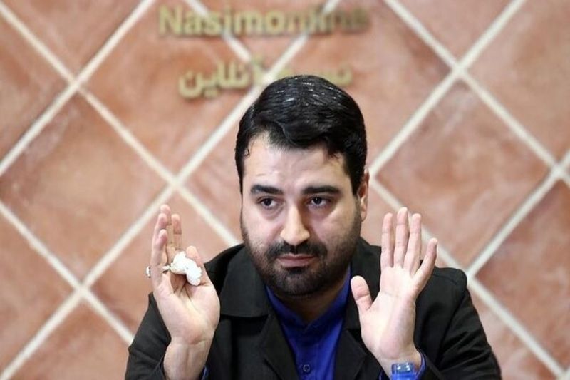 ذوق‌زدگی ایده‌پرداز «بارداری با 2 گیگ اینترنت»؛ خبری در راه است، همه موافقان صیانت از مردم به مجلس رفتند!