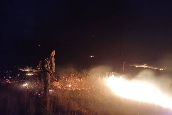 آتش‌سوزی پناهگاه حیات‌وحش بیستون مهار شد