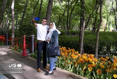 گل - باغ ایرانی