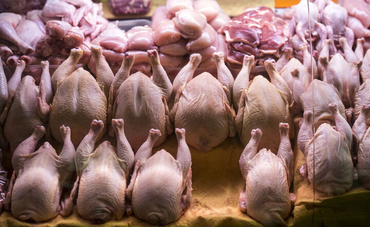 قیمت مرغ برای مصرف‌کنندگان چقدر است؟