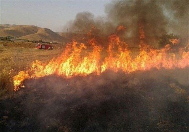 شعله‌های آتش برای دهمین بار در کمتر از یک ماه به جان ‌میانکاله افتاد