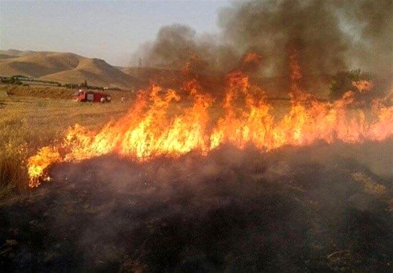 حریق در جنگل های قلارنگ ایلام