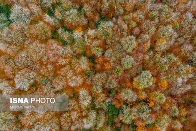 h9yYDyc2YoHO