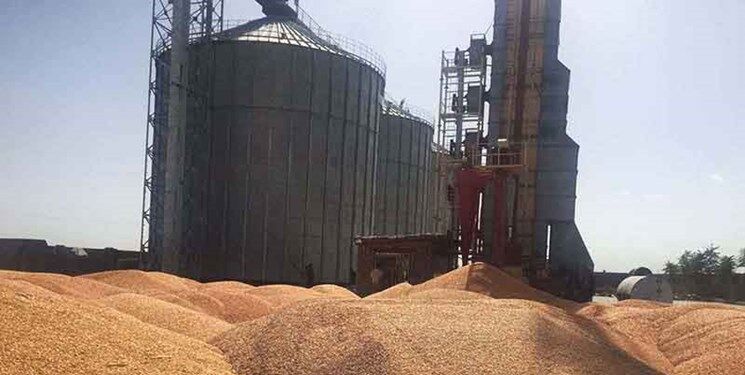 توافق فرانسه و رومانی برای حمل زمینی غلات از اوکراین