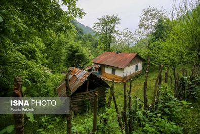 طبیعت بهاری «سیاهکل»
