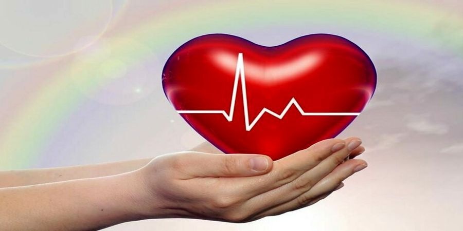 اعضای نوجوان چهارده ساله مرگ مغزی قمی اهدا شد