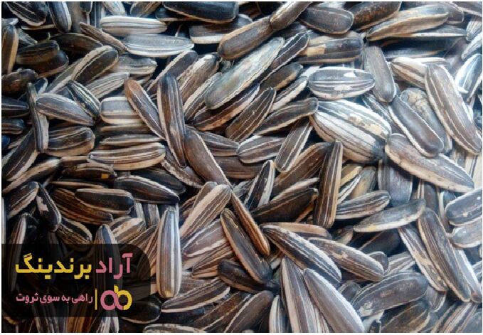 مصرف تخمه آفتابگردان پروستات را درمان می کند
