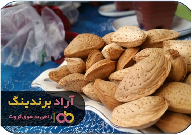 متعهد بودم و موفق شدم