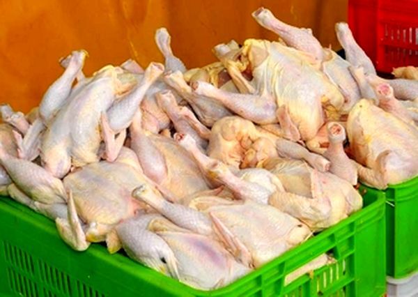 صادارت گوشت مرغ تخم‌گذار آزاد شد