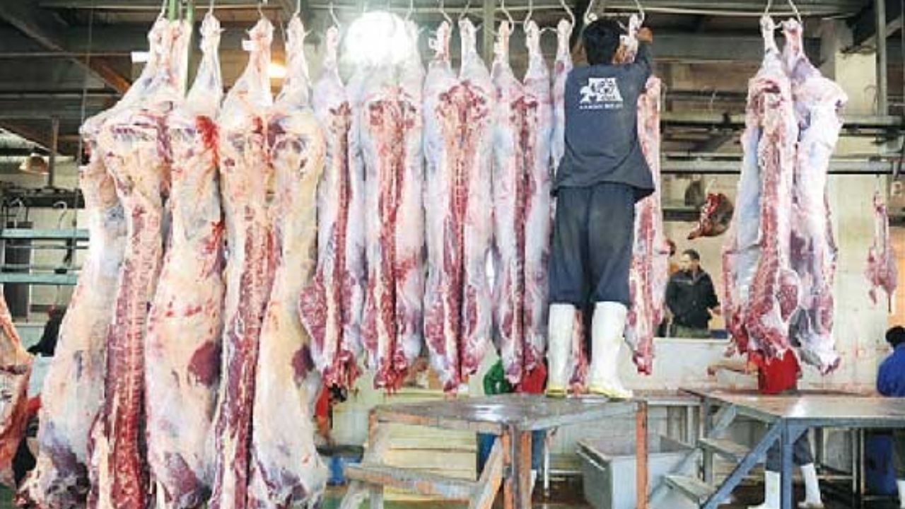 فروش گوشت دام پیر ایرانی به نام برزیلی!