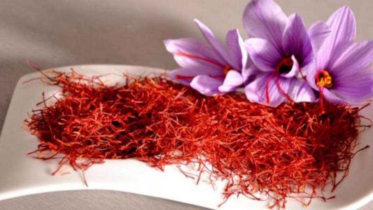 زعفران به12میلیون تومان رسید/صادرکنندگان خوشنام دچار مشکل شده‌اند