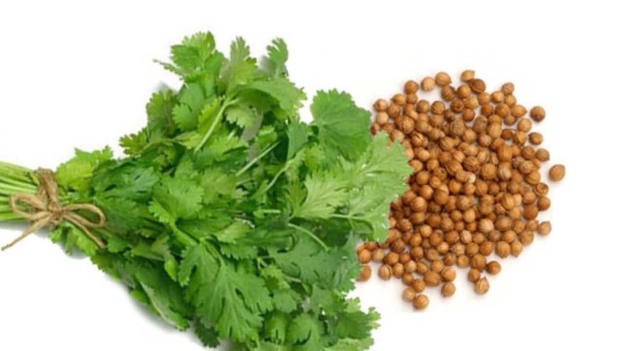 تاثیر آب گشنیز در کنترل قندخون