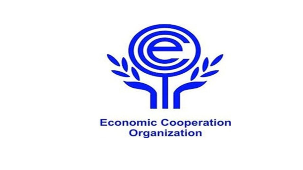 حجم تجارت سالانه بین کشورهای عضو اکو فقط 60 میلیارد دلار است
