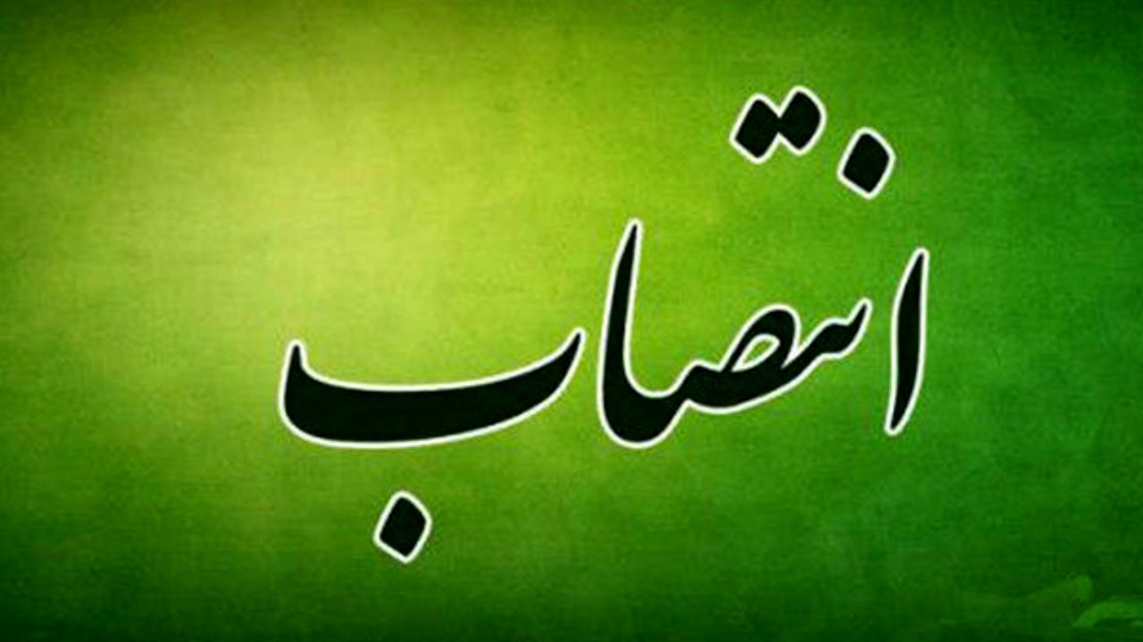 مدیرعامل شستا منصوب شد