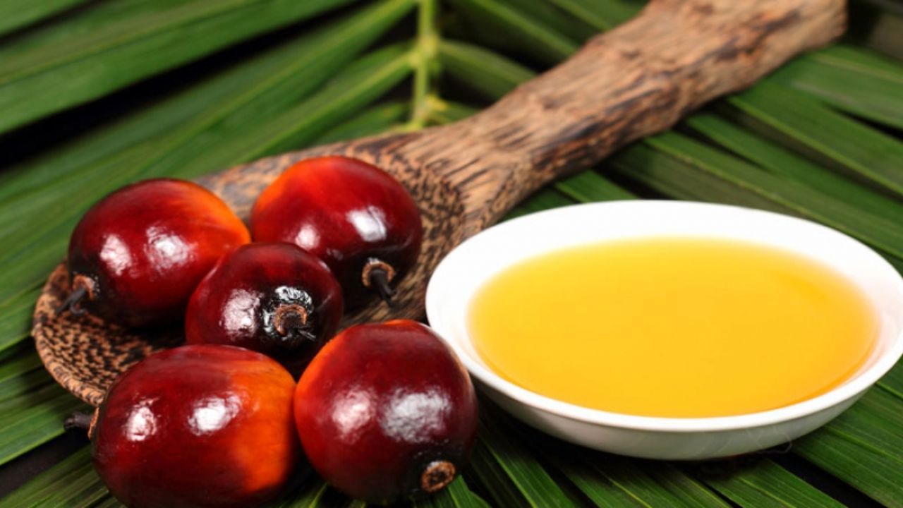 جنگ اروپا علیه روغن پالم ادامه دارد