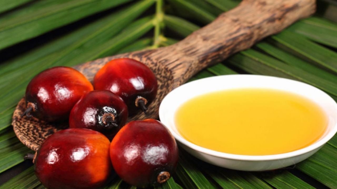 جنگ اروپا علیه روغن پالم ادامه دارد