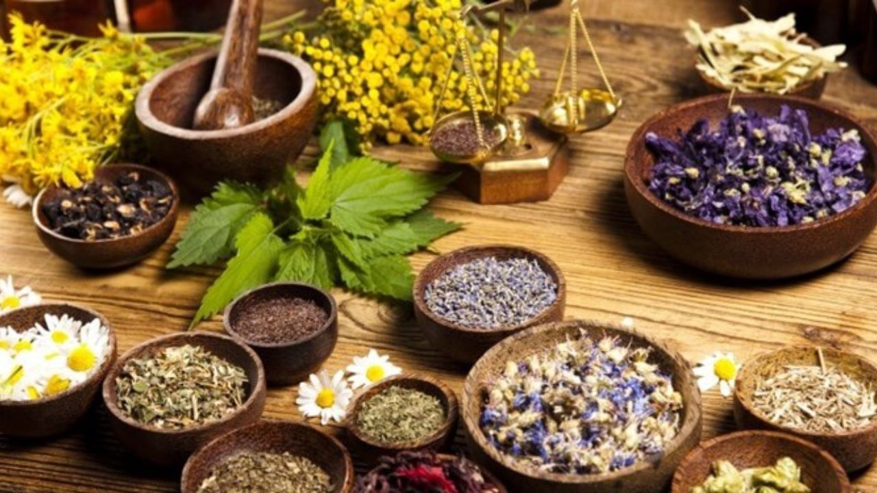 افزایش صدور مجوز فراورده‌های گیاهی طبیعی