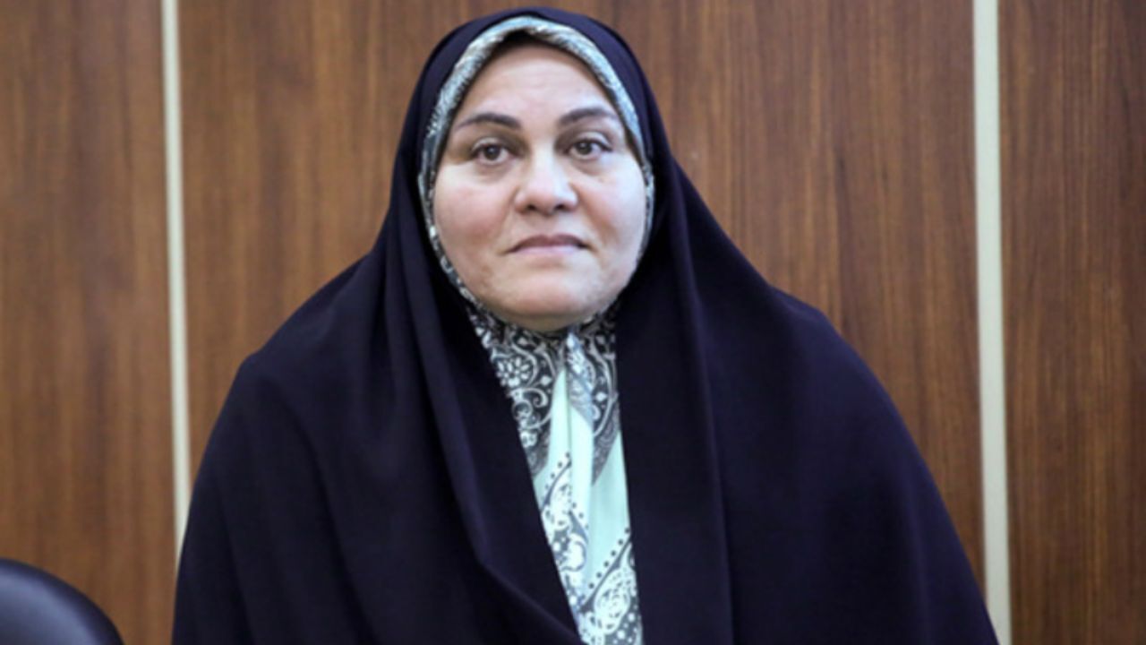 ابعاد سیاسی تصمیم‌گیری در دانشگاه آزاد همیشه پررنگ است/ نمایندگان پیش از اخراج استادان هم تحقیق و تفحص از دانشگاه آزاد را لازم می‌دانستند/ فرهاد رهبر باید در کمیسیون آموزش درباره اخراج استادان توضیح دهد