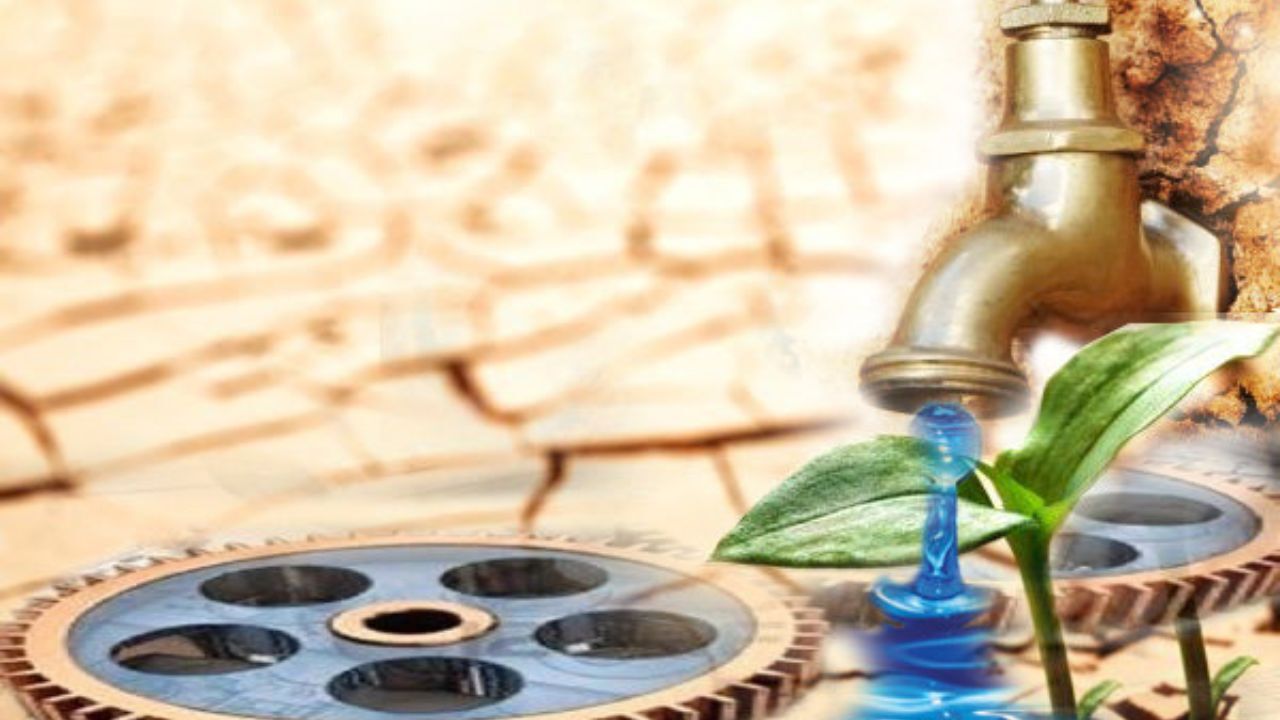 صنعت آب تشنه مدیریت صحیح/ لزوم اصلاح الگوی کشت