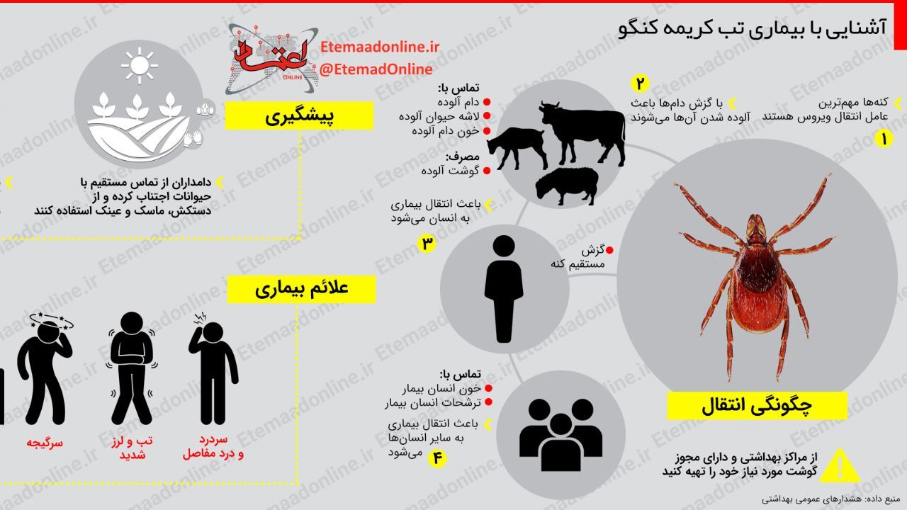 اینفوگرافیک| آشنایی با بیماری تب کریمه کنگو