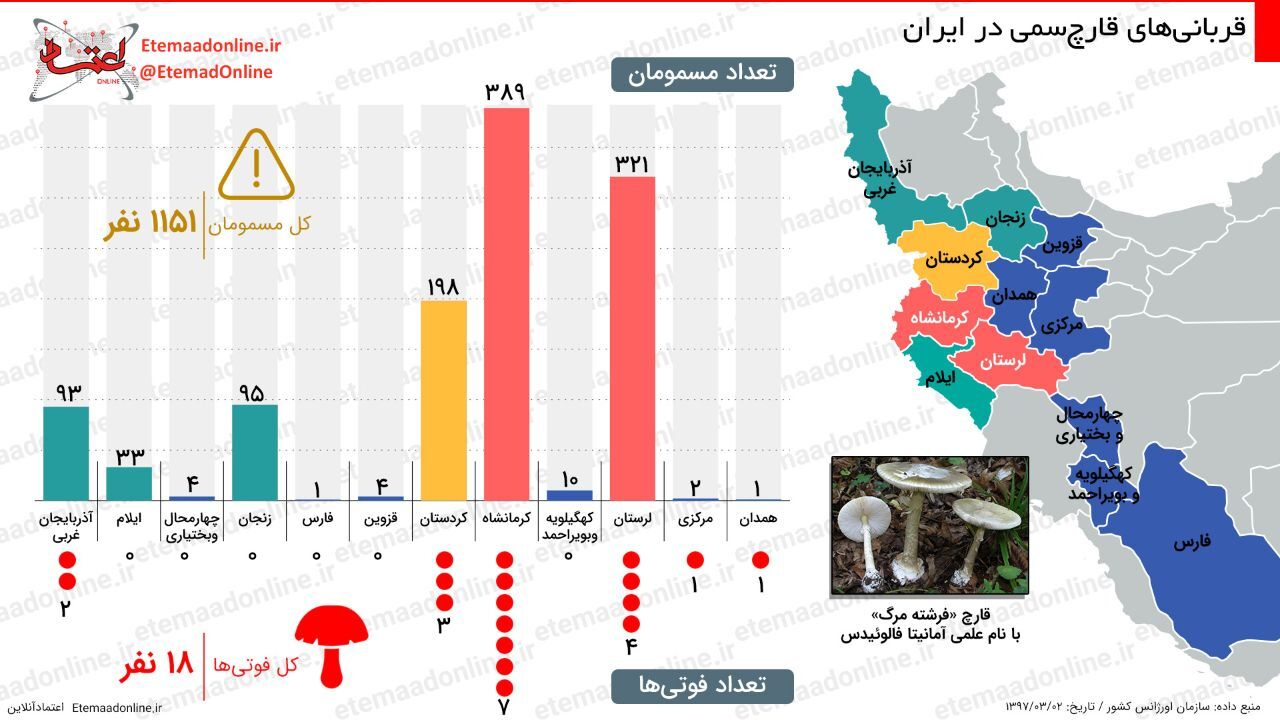 اینفوگرافیک| قربانیان قارچ‌سمی در ایران