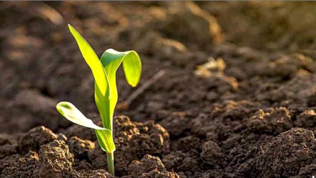 کلیات لایحه حفاظت از خاک به تصویب رسید